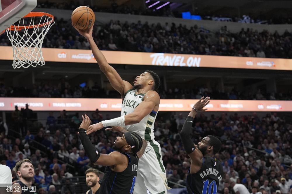 他们不仅引 他们不仅引