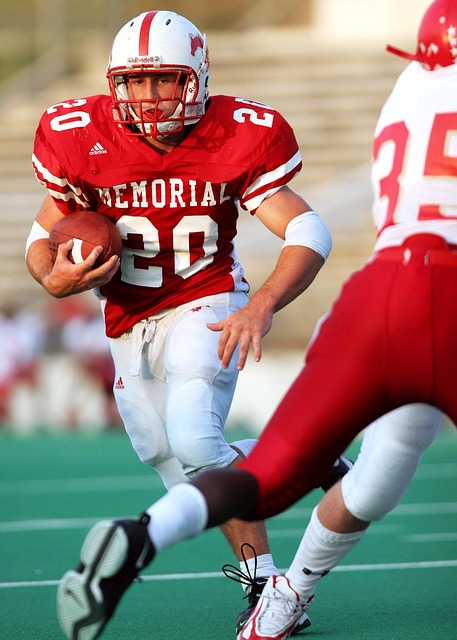 职业生涯 职业生涯