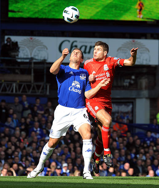 的报道中 的报道中